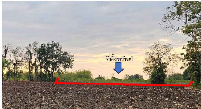 รูปที่ดินว่างเปล่า ประดู่งาม ศรีเทพ เพชรบูรณ์