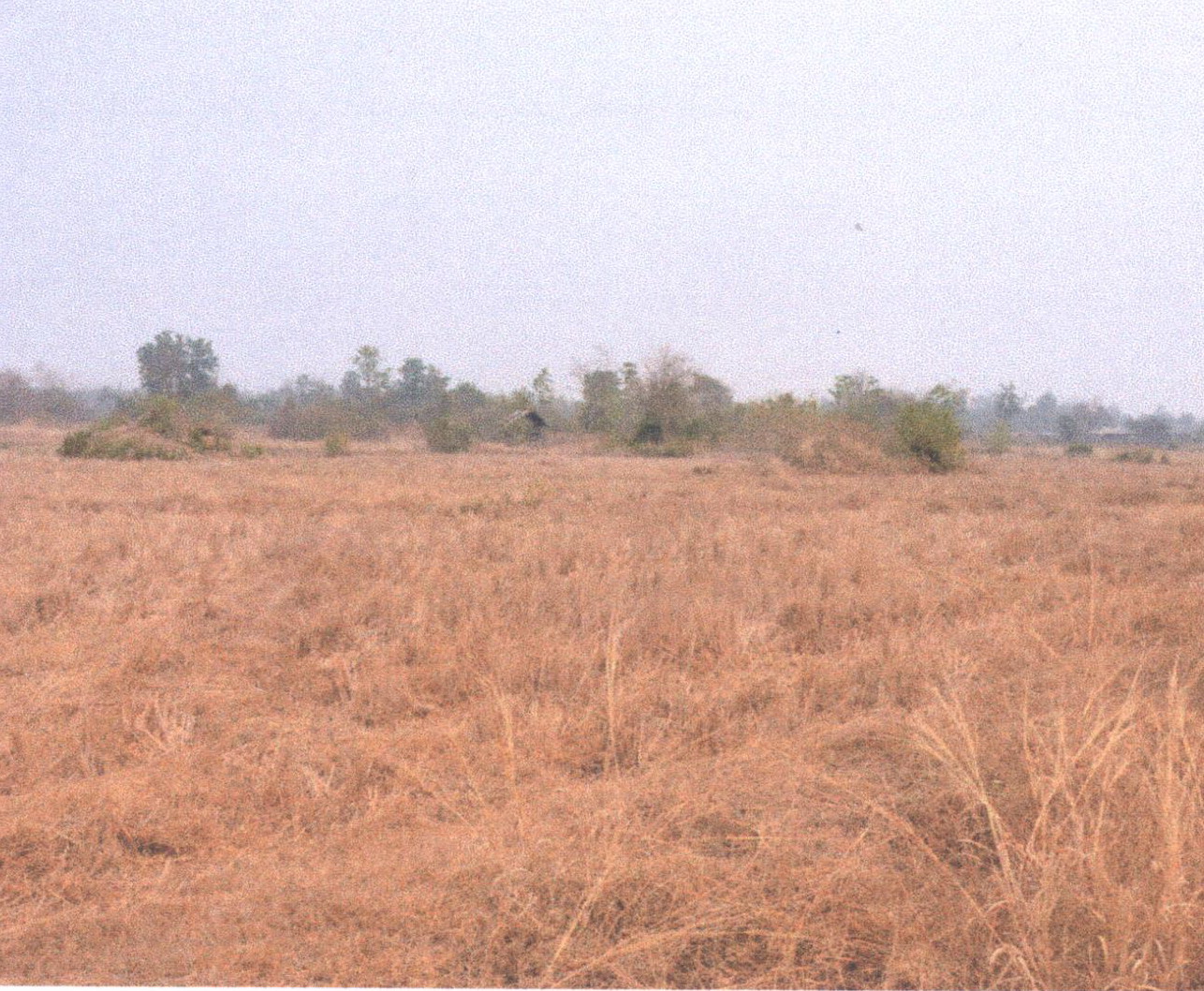 รูปที่ดินว่างเปล่า เหมืองหม้อ เมืองแพร่ แพร่