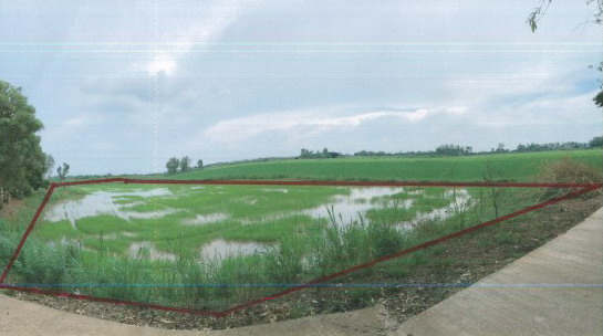 รูปที่ดินว่างเปล่า งิ้วราย ตะพานหิน พิจิตร