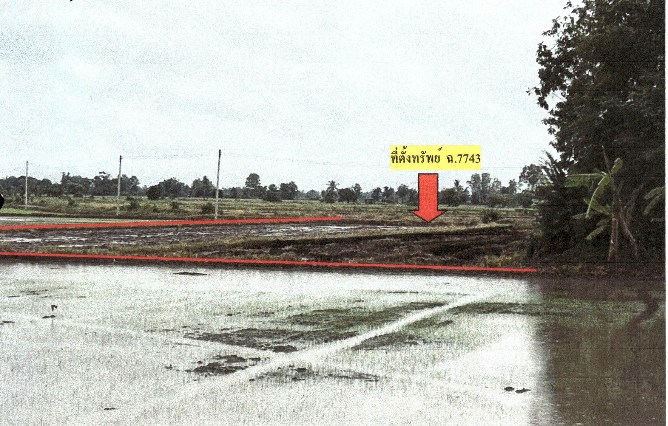 รูปที่ดินว่างเปล่า พรหมพิราม พรหมพิราม พิษณุโลก