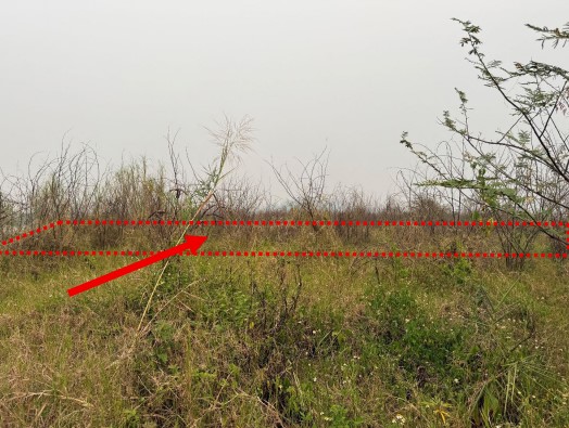 รูปที่ดินว่างเปล่า ท่าตอน แม่อาย เชียงใหม่