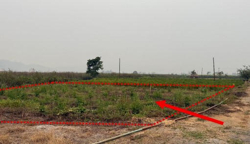 รูปที่ดินว่างเปล่า ท่าตอน แม่อาย เชียงใหม่