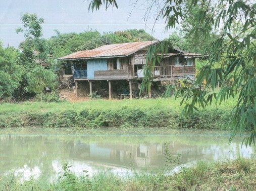รูปที่ดินพร้อมสิ่งปลูกสร้าง งิ้วราย ตะพานหิน พิจิตร