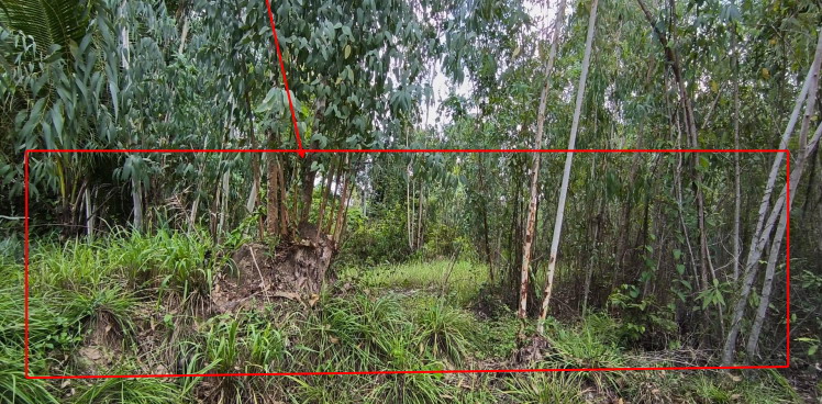 รูปที่ดินว่างเปล่า หัวดอน เขื่องใน อุบลราชธานี