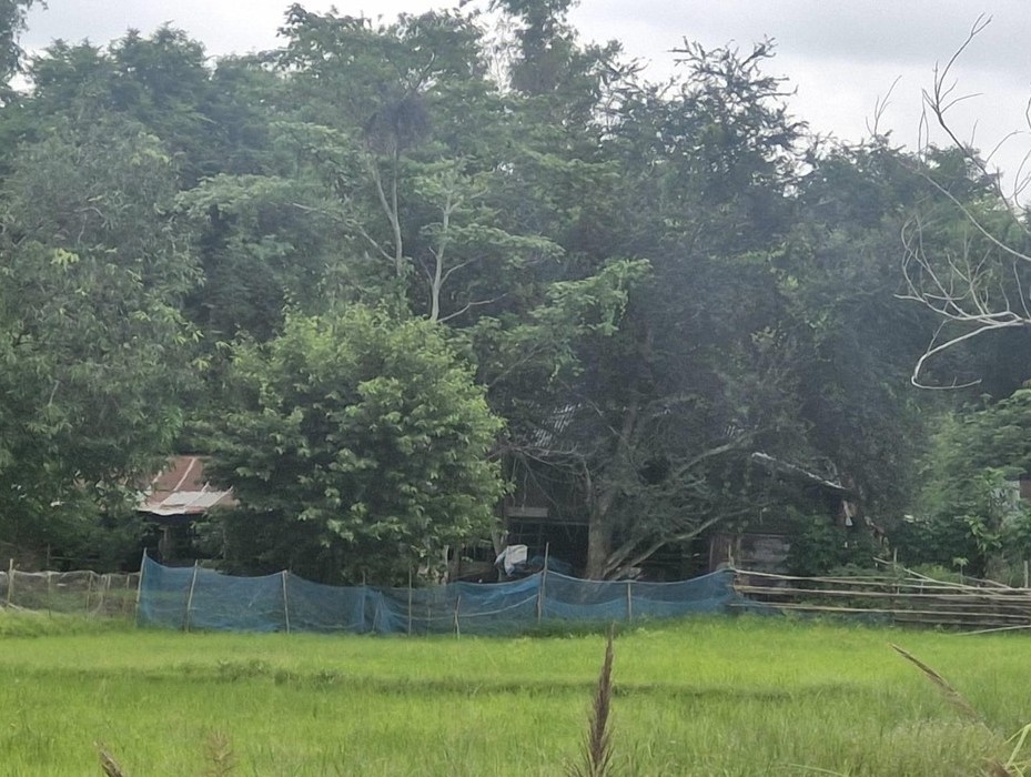 รูปที่ดินว่างเปล่า ลาดควาย ศรีเมืองใหม่ อุบลราชธานี