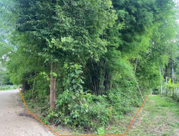 รูปที่ดินว่างเปล่า ไร่น้อย เมืองอุบลราชธานี อุบลราชธานี