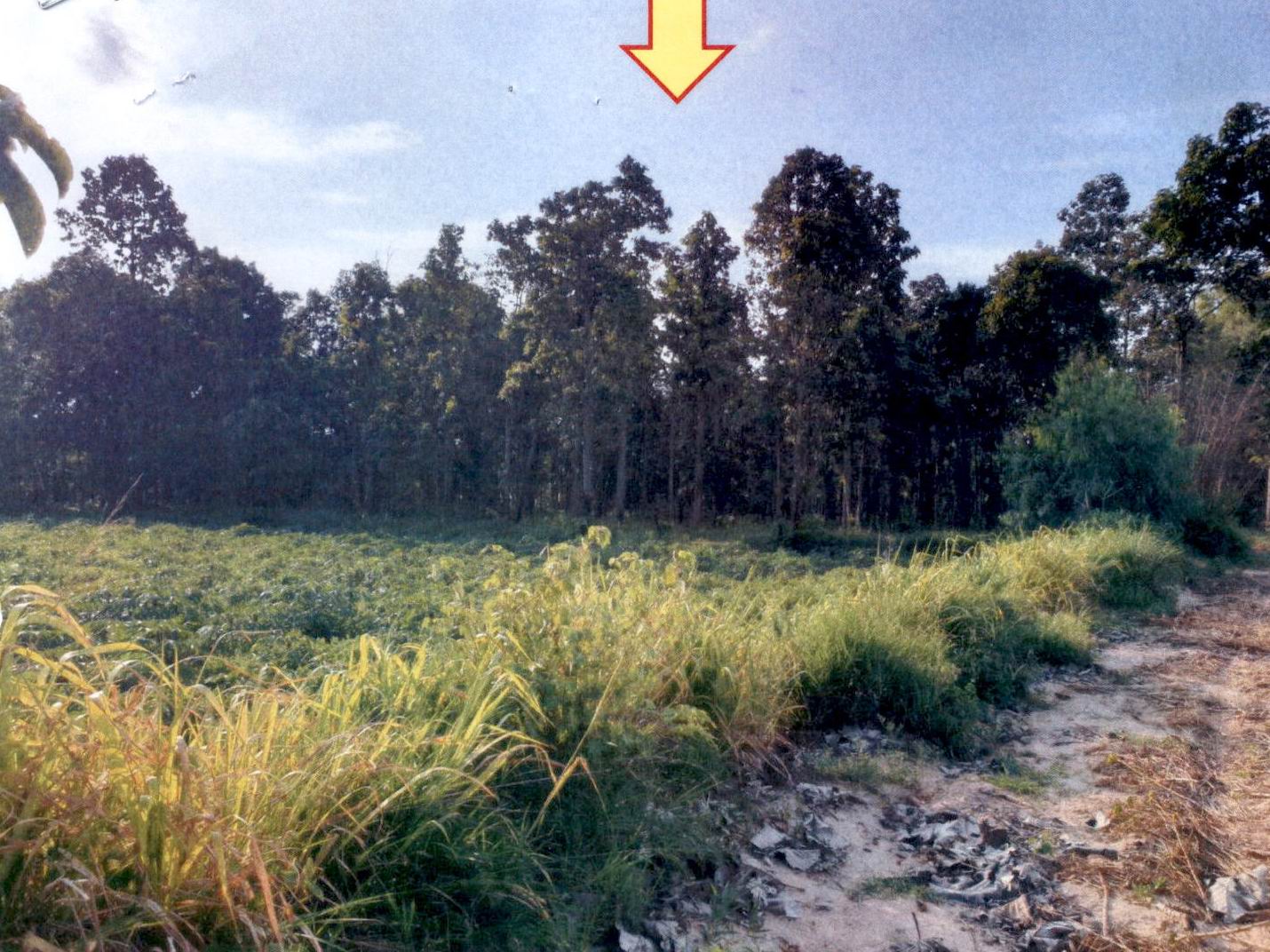 รูปที่ดินว่างเปล่า นามน นามน กาฬสินธุ์