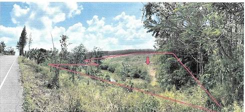 รูปที่ดินว่างเปล่า ตะกุกใต้ วิภาวดี สุราษฎร์ธานี