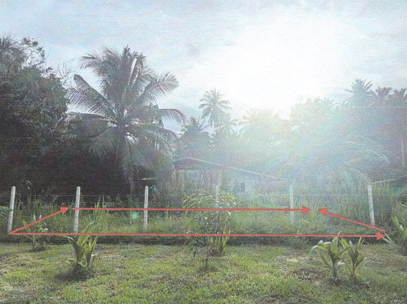 รูปที่ดินว่างเปล่า เขาล้าน ทับสะแก ประจวบคีรีขันธ์