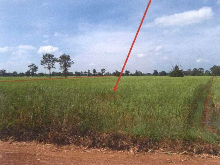 รูปที่ดินว่างเปล่า ดอนอะราง หนองกี่ บุรีรัมย์