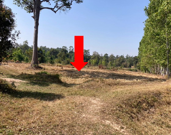 รูปที่ดินว่างเปล่า หัวดอน เขื่องใน อุบลราชธานี