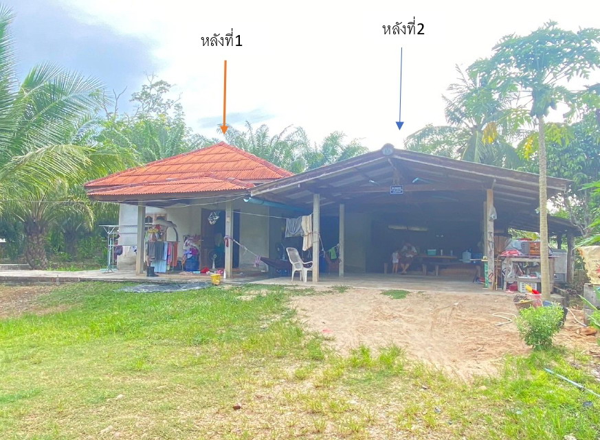 รูปที่ดินพร้อมสิ่งปลูกสร้าง เสวียด ท่าฉาง สุราษฎร์ธานี