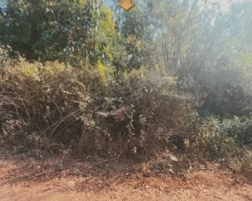 รูปที่ดินว่างเปล่า ม่วง บ้านม่วง สกลนคร