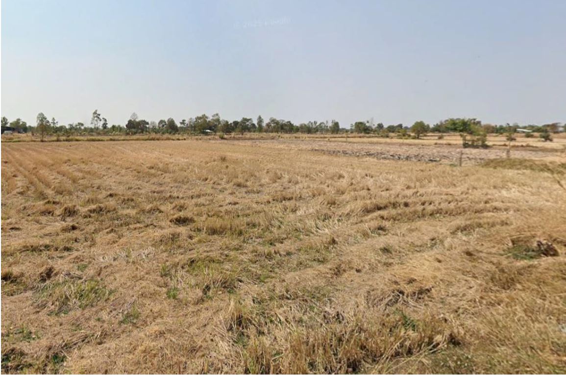 รูปที่ดินว่างเปล่า ทุ่งนางโอก เมืองยโสธร ยโสธร