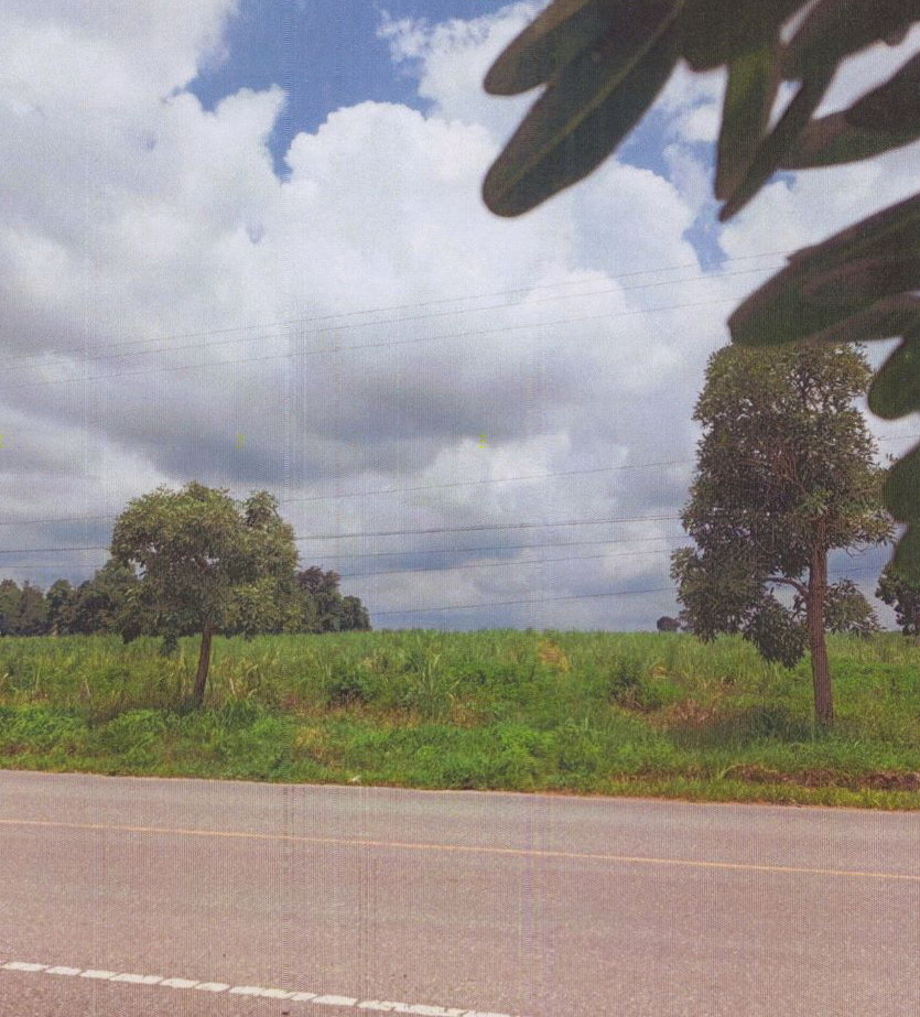 รูปที่ดินว่างเปล่า หนองฉิม เนินสง่า ชัยภูมิ