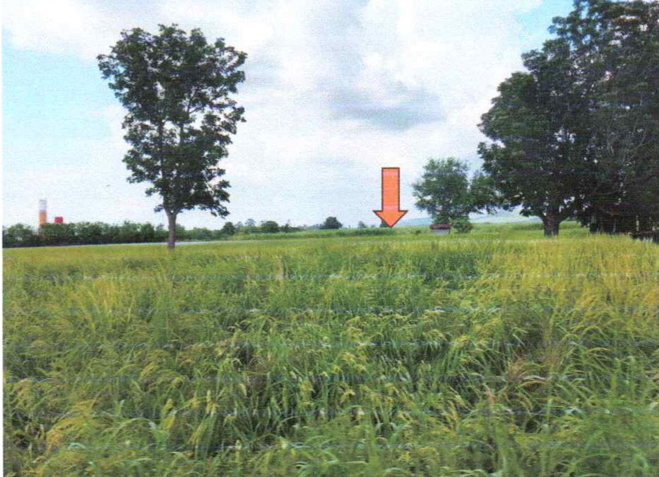 รูปที่ดินว่างเปล่า หนองปรือ หนองปรือ กาญจนบุรี