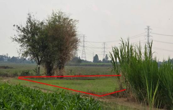 รูปที่ดินว่างเปล่า ยางม่วง ท่ามะกา กาญจนบุรี