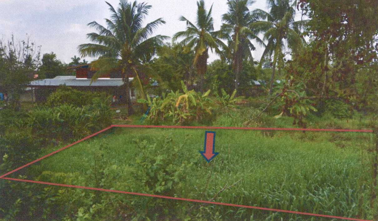 รูปที่ดินว่างเปล่า ละลวด ชำนิ บุรีรัมย์