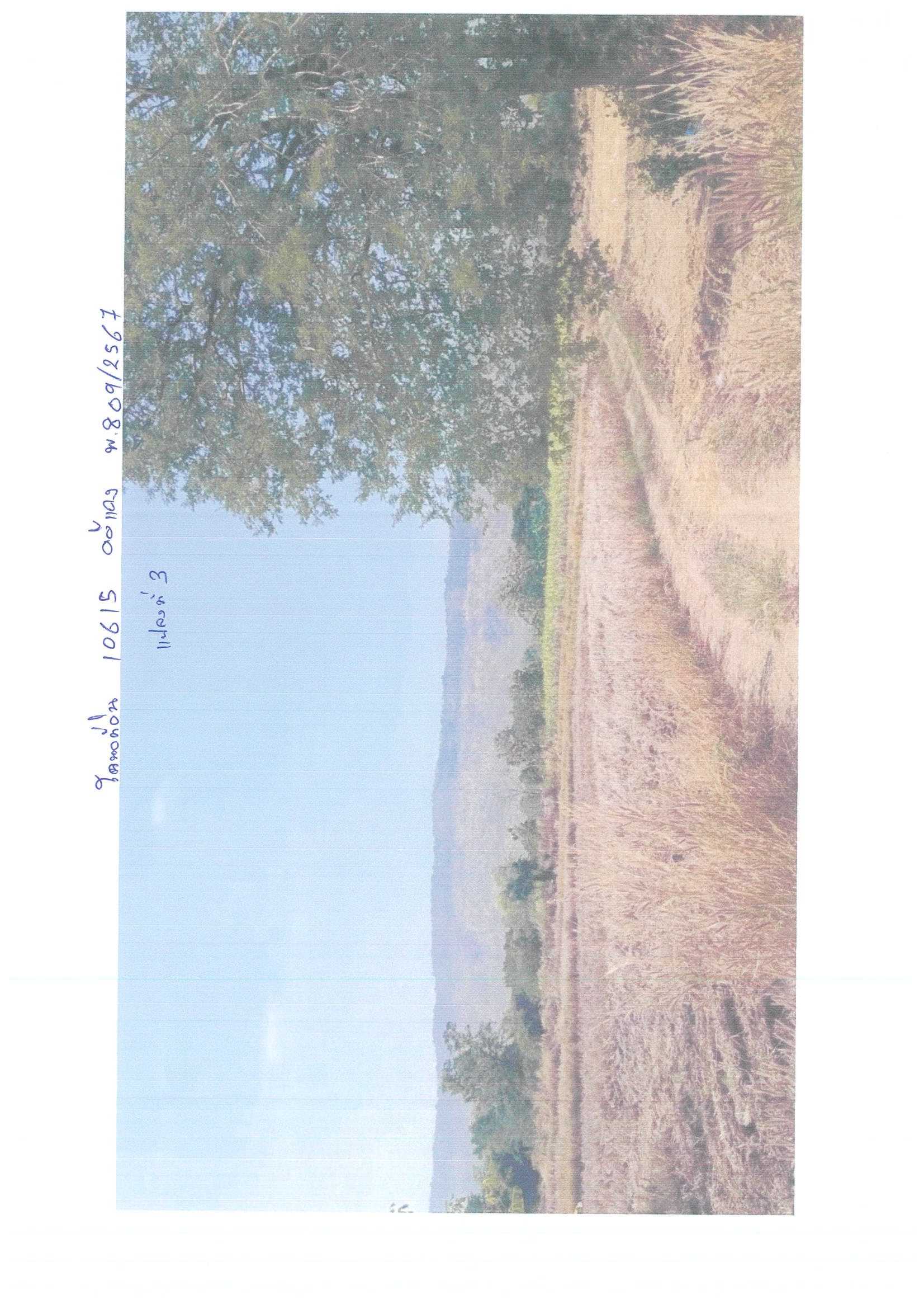 รูปที่ดินว่างเปล่า นิคมพัฒนา โนนสัง หนองบัวลำภู