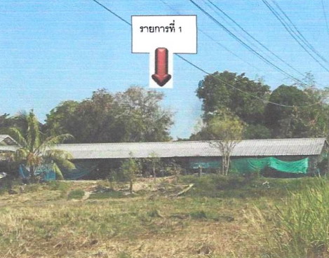 รูปที่ดินพร้อมสิ่งปลูกสร้าง ไผ่ใหญ่ ม่วงสามสิบ อุบลราชธานี