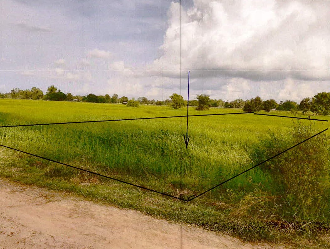 รูปที่ดินว่างเปล่า หนองบ่อ เมืองอุบลราชธานี อุบลราชธานี