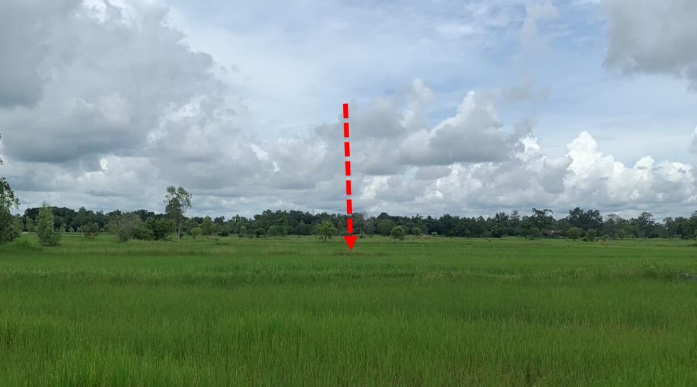 รูปที่ดินว่างเปล่า บุ่งหวาย วารินชำราบ อุบลราชธานี