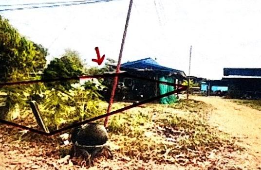 รูปที่ดินพร้อมสิ่งปลูกสร้าง สาวะถี เมืองขอนแก่น ขอนแก่น