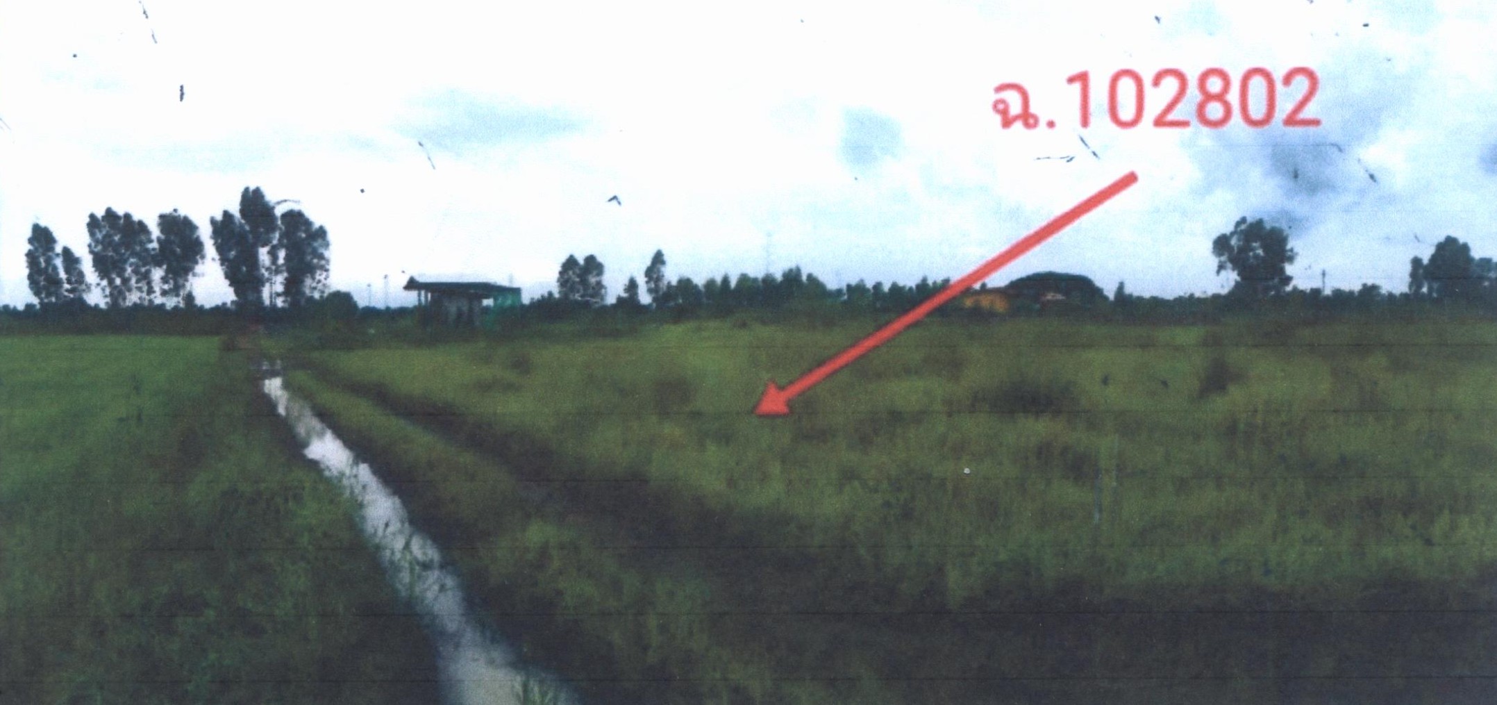 รูปที่ดินว่างเปล่า โนนผึ้ง วารินชำราบ อุบลราชธานี