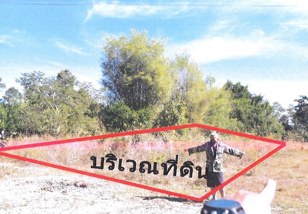 รูปที่ดินว่างเปล่า นาดี นาดี ปราจีนบุรี