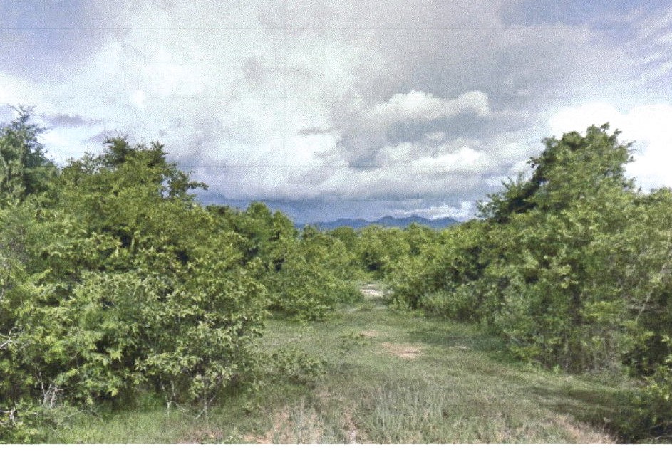 รูปที่ดินว่างเปล่า เหมืองหม้อ เมืองแพร่ แพร่