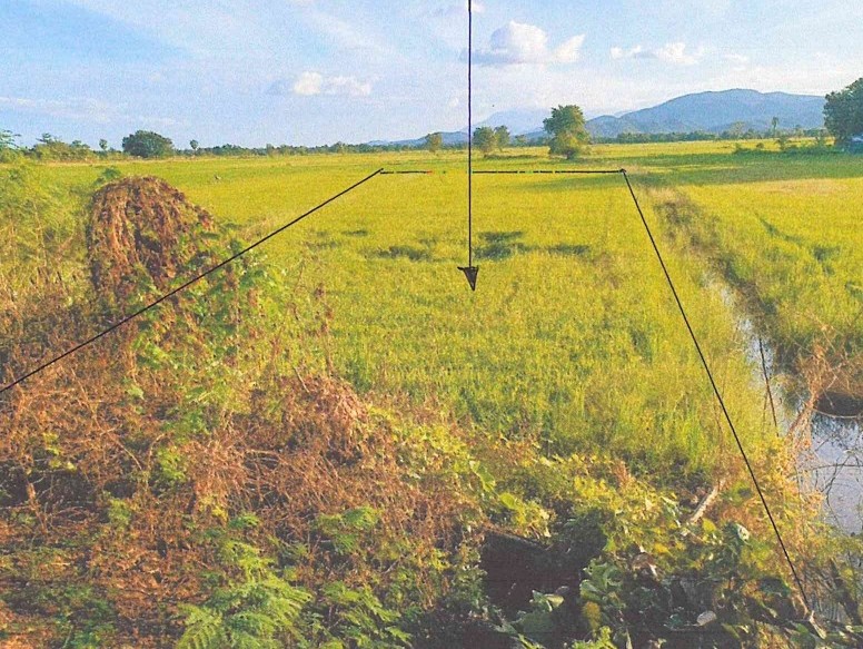 รูปที่ดินว่างเปล่า เมืองเก่า เมืองสุโขทัย สุโขทัย