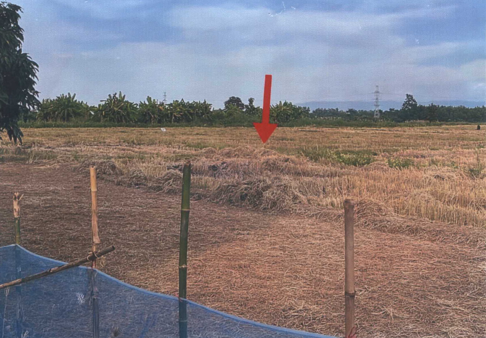 รูปที่ดินว่างเปล่า ป่าแฝก แม่ใจ พะเยา