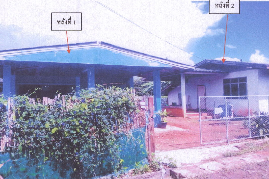 รูปที่ดินพร้อมสิ่งปลูกสร้าง แม่เจดีย์ เวียงป่าเป้า เชียงราย