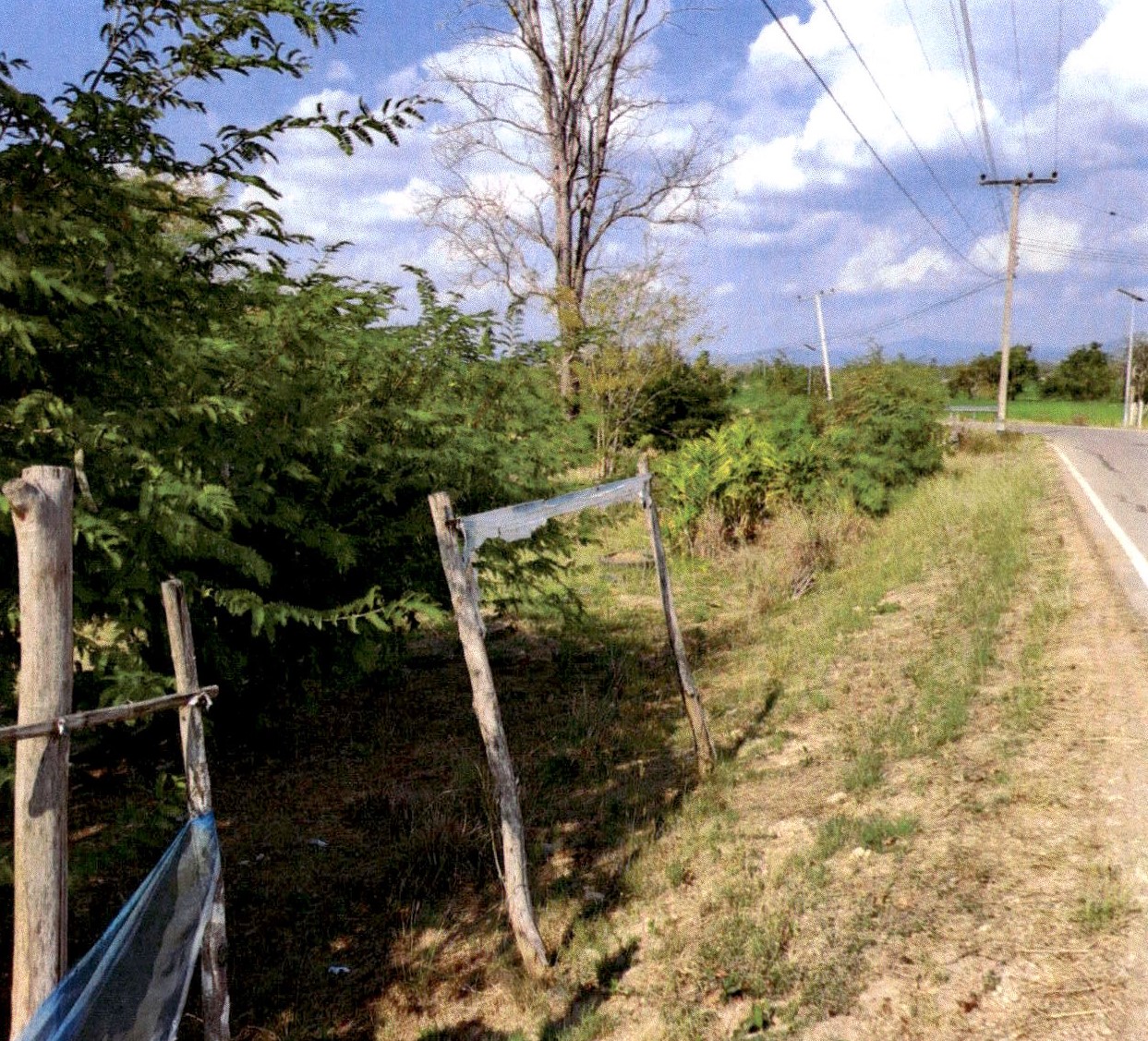 รูปที่ดินว่างเปล่า น้ำเลา ร้องกวาง แพร่