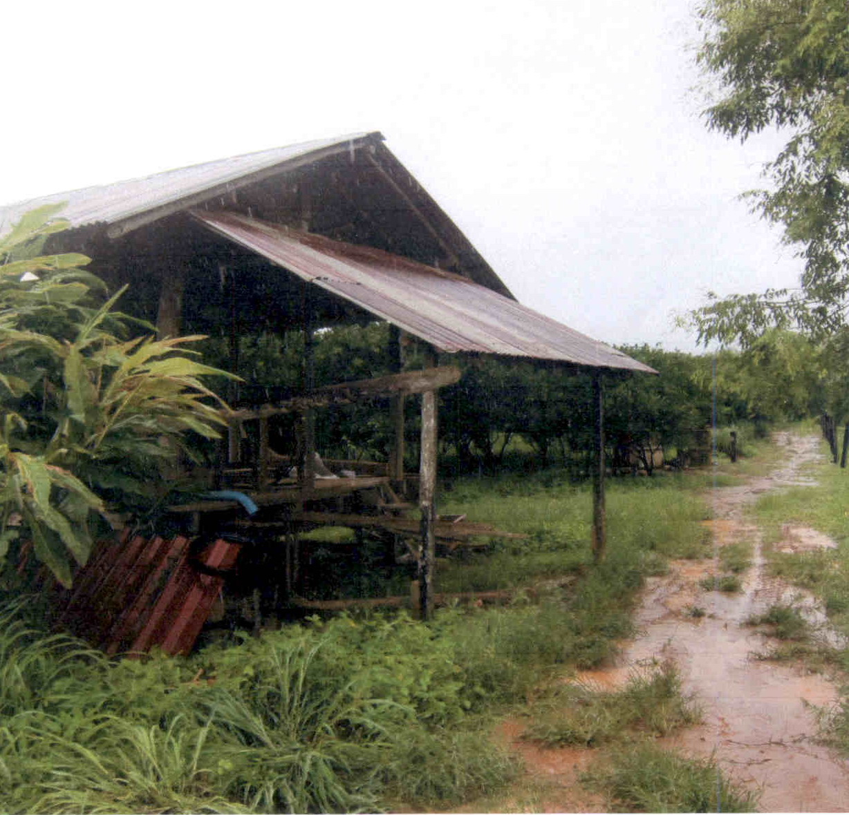 รูปที่ดินพร้อมสิ่งปลูกสร้าง แม่สิน ศรีสัชนาลัย สุโขทัย
