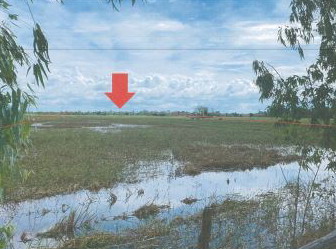 รูปที่ดินว่างเปล่า ยะวึก ชุมพลบุรี สุรินทร์