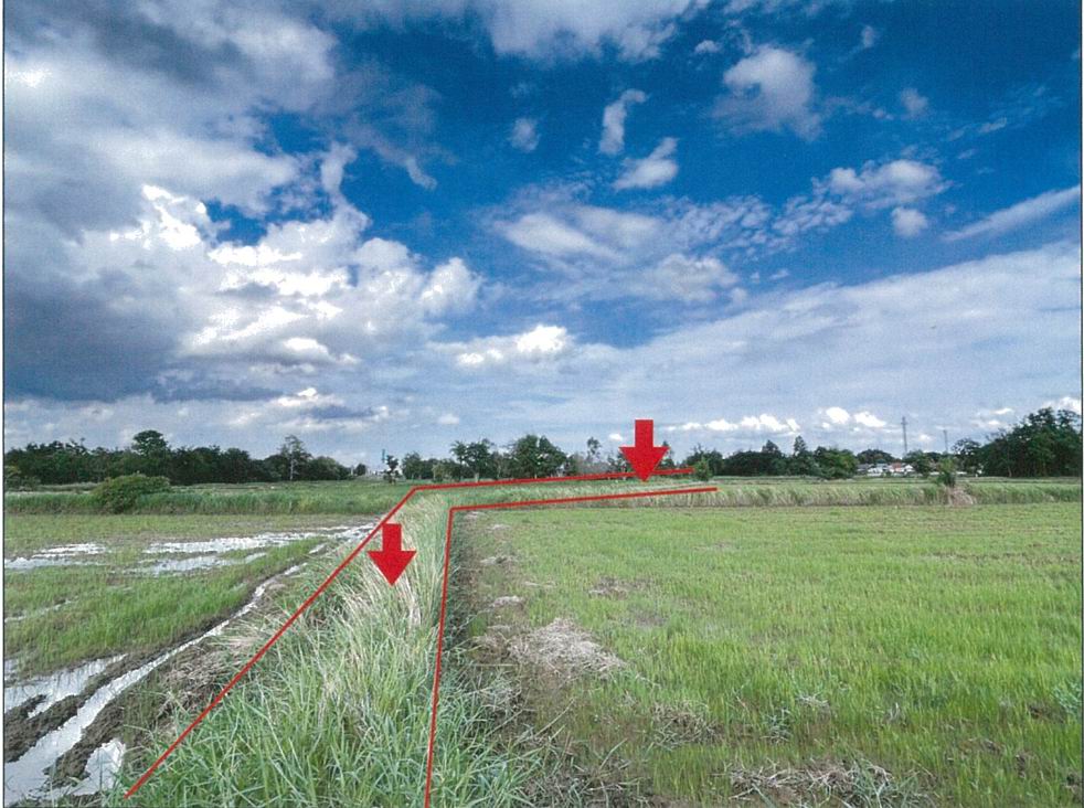 รูปที่ดินว่างเปล่า เมืองปัก ปักธงชัย นครราชสีมา