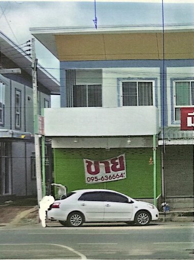 รูปที่ดินพร้อมสิ่งปลูกสร้าง บ้านนา วชิรบารมี พิจิตร