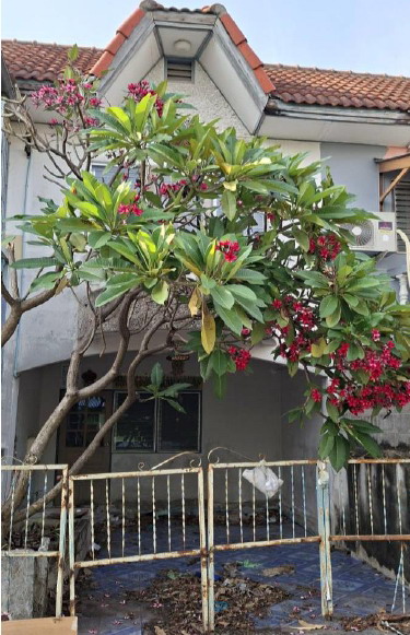 รูปที่ดินพร้อมสิ่งปลูกสร้าง บางช้าง สามพราน นครปฐม