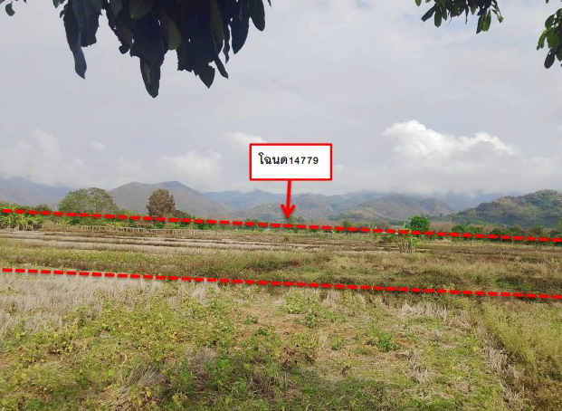 รูปที่ดินว่างเปล่า ป่าตาล ขุนตาล เชียงราย
