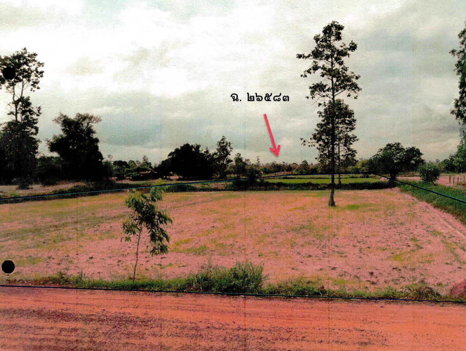 รูปที่ดินว่างเปล่า ดงบัง อำเภอลืออำนาจ อำนาจเจริญ