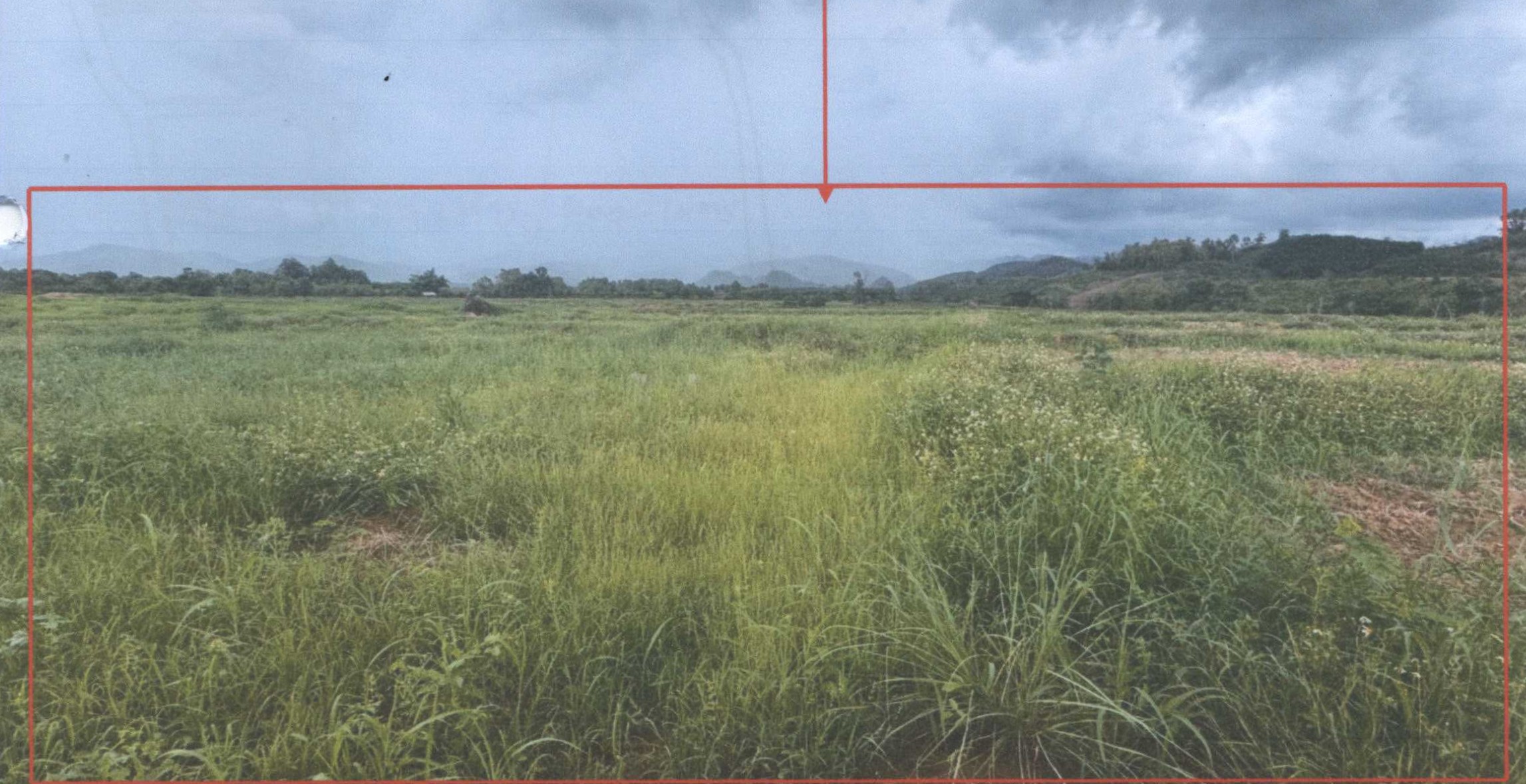 รูปที่ดินว่างเปล่า ขุนควร ปง พะเยา