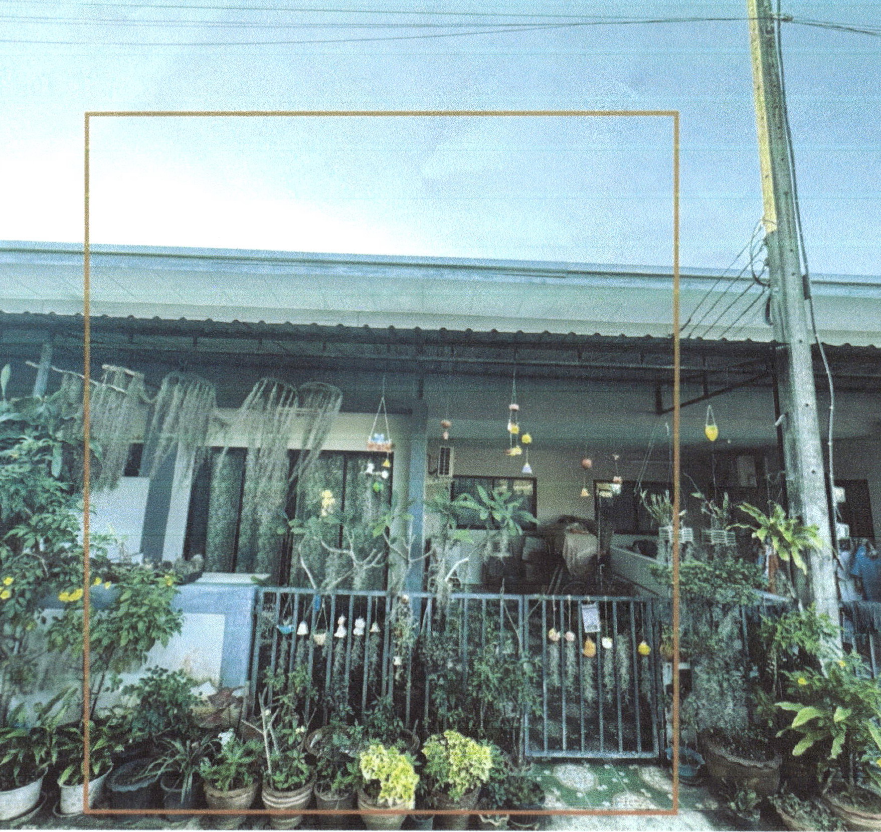 รูปที่ดินพร้อมสิ่งปลูกสร้าง นาทุ่ง เมืองชุมพร ชุมพร