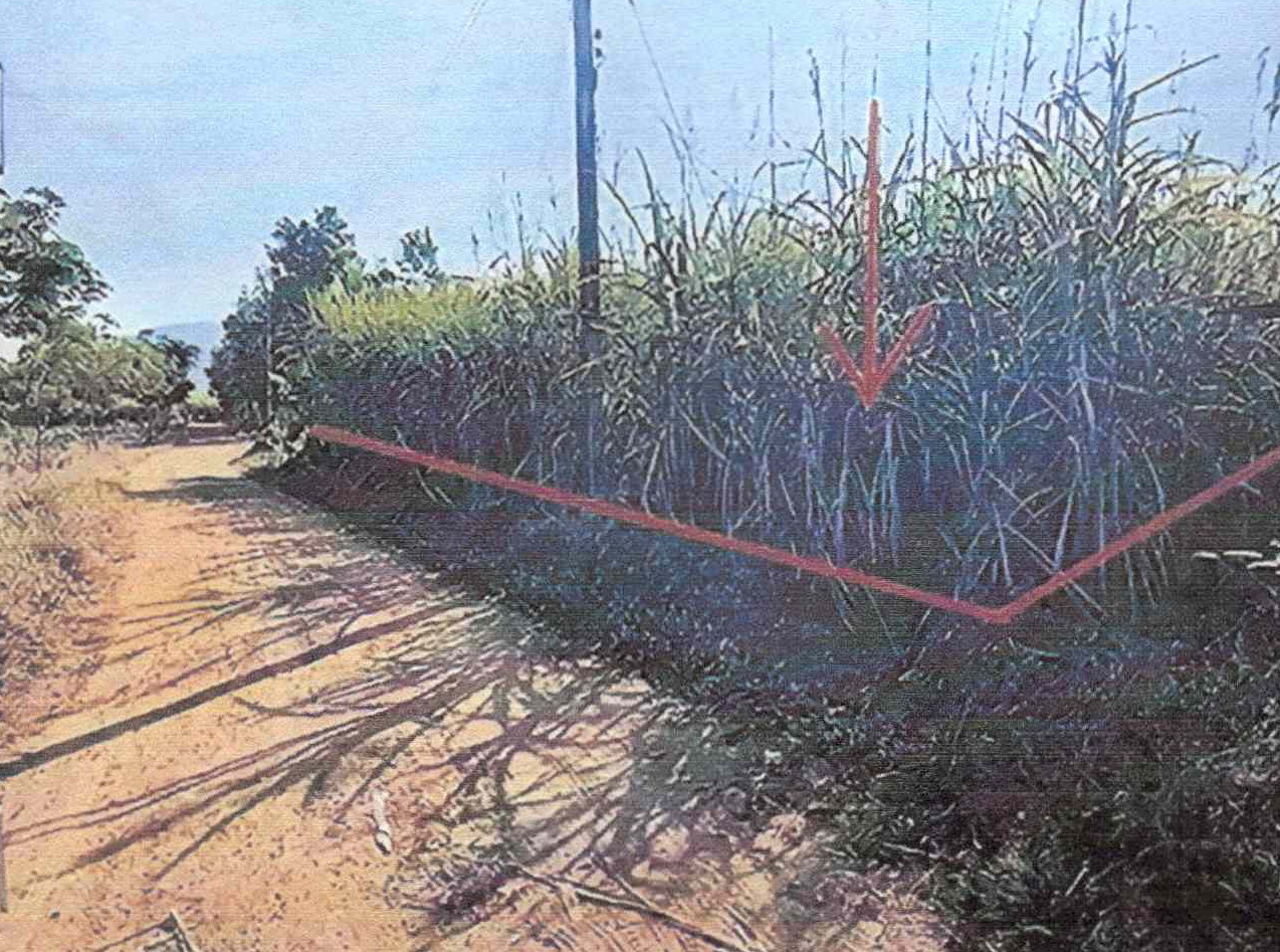 รูปที่ดินว่างเปล่า ศรีสงคราม วังสะพุง เลย