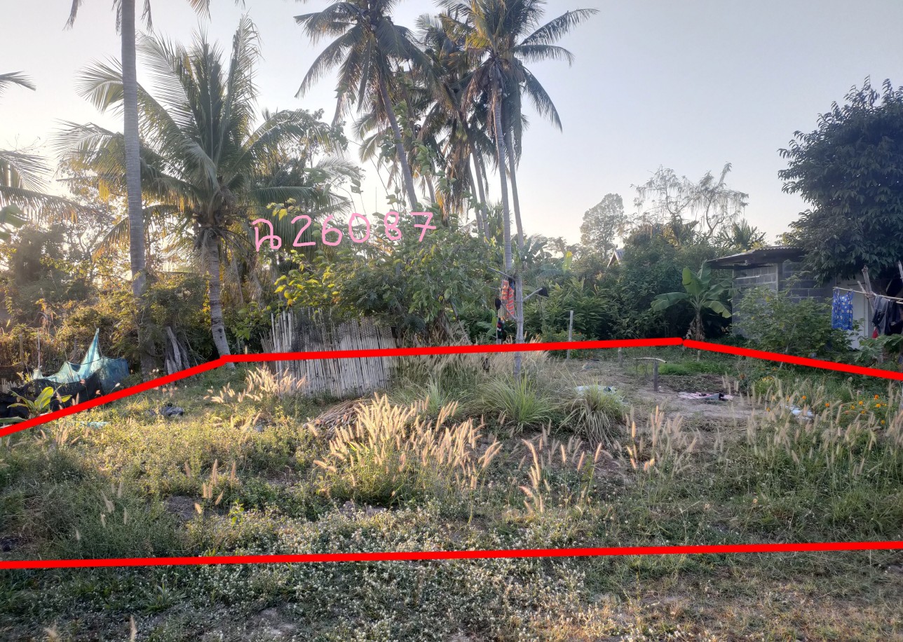 รูปที่ดินว่างเปล่า กระจาย ป่าติ้ว ยโสธร
