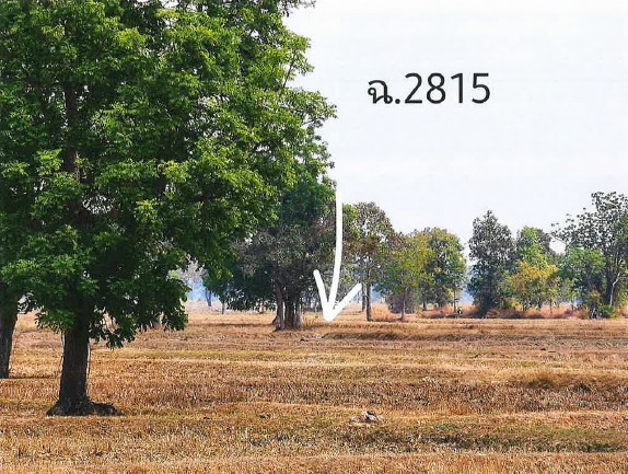 รูปที่ดินว่างเปล่า โคกขมิ้น พลับพลาชัย บุรีรัมย์