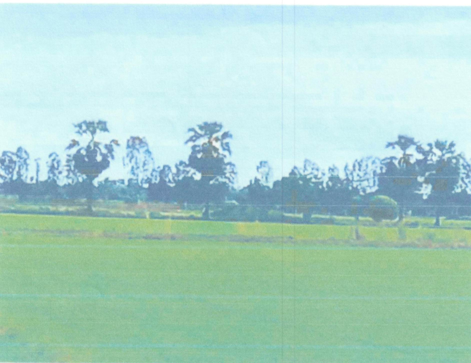 รูปที่ดินว่างเปล่า สรรพยา สรรพยา ชัยนาท