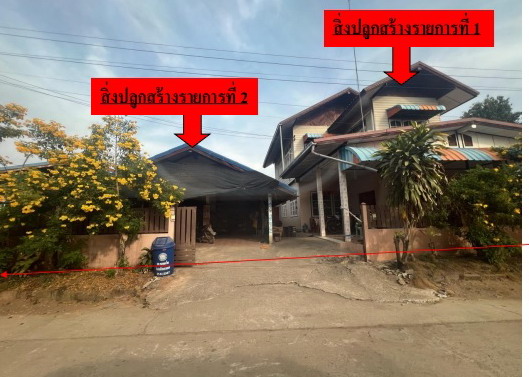 รูปที่ดินพร้อมสิ่งปลูกสร้าง หนองคอนไทย ภูเขียว ชัยภูมิ