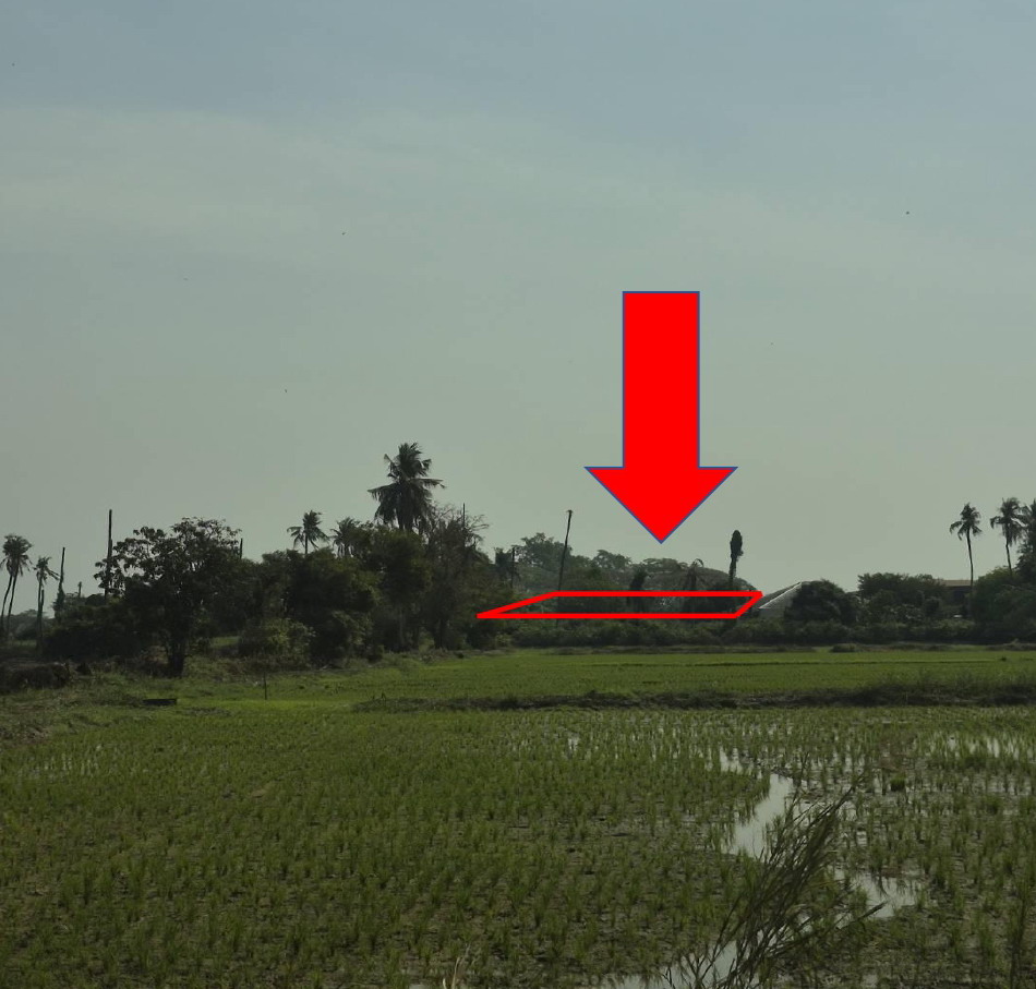 รูปที่ดินว่างเปล่า งิ้วราย นครชัยศรี นครปฐม