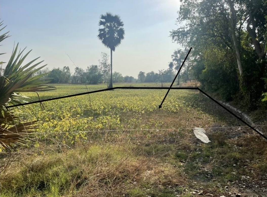 รูปที่ดินว่างเปล่า ดงขวาง หนองขาหย่าง อุทัยธานี